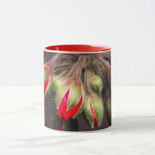 Tasse blutrot und dunkel (Zentrum)