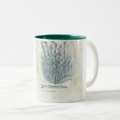 Tasse - botanischer Druck mit zwei Tönen (VorderseiteRechts)