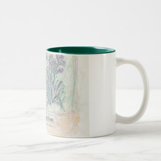 Tasse - botanischer Druck mit zwei Tönen (Rechts)