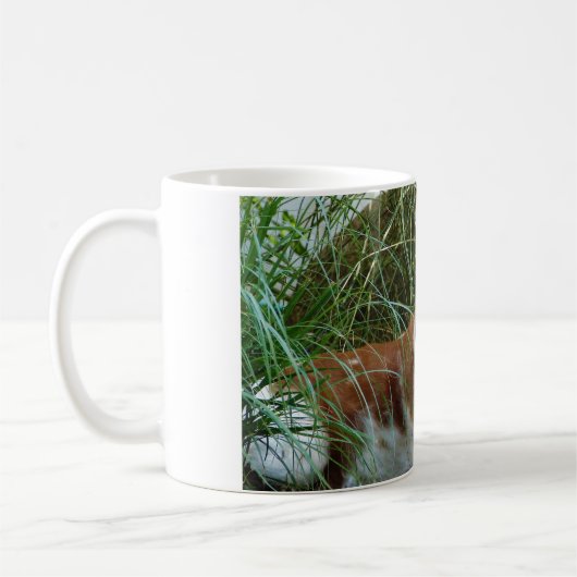 Tasse Brittany Spaniel (Links)