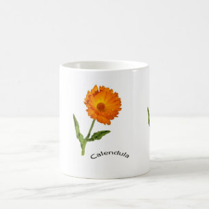 Tasse - Calendula Blume