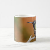 Tasse: Costa's Hummingbird #5 (klassisch) Kaffeetasse (Mittel)