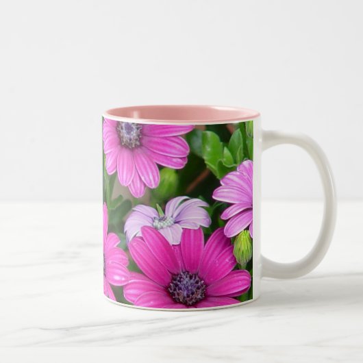 Tasse Cranesbill Pelargonie-(rosa Blumen) (Rechts)