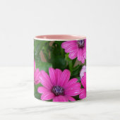 Tasse Cranesbill Pelargonie-(rosa Blumen) (Mittel)