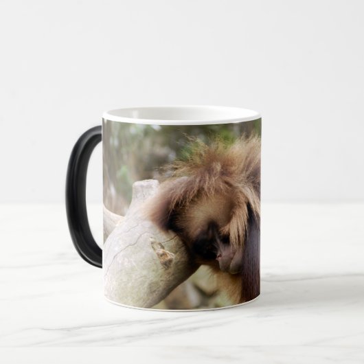 Tasse der Affen (Vorderseite Links)