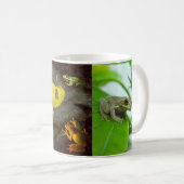 Tasse der Baumfrösche (VorderseiteRechts)