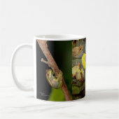 Tasse der Baumfrösche (Links)