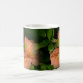 Tasse der blühenden Quitte (Mittel)