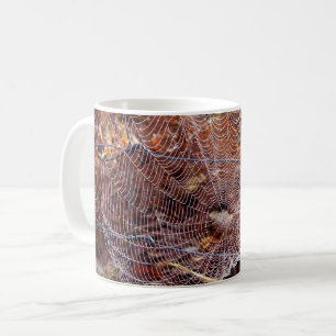 Tasse der europäischen Gartenspinne