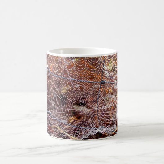 Tasse der europäischen Gartenspinne (Mittel)