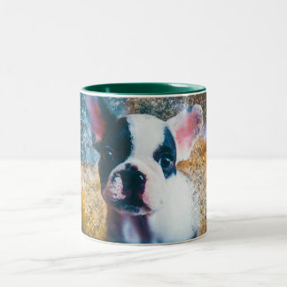 Tasse der französischen Bulldogge mit Spritzergrün