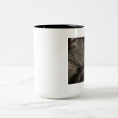 Tasse der Graukatze (Mittel)