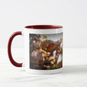 Tasse der Herbstleaf (Links)