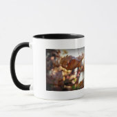 Tasse der Herbstleaf (Links)