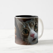 Tasse der Katzen und Dinosaurier (VorderseiteRechts)