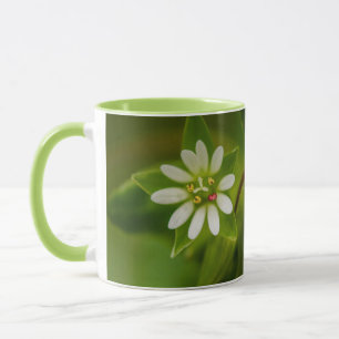 Tasse der Kicherwelse