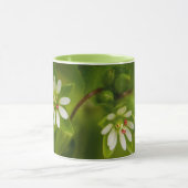 Tasse der Kicherwelse (Zentrum)