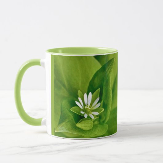Tasse der Kicherwelse (Links)