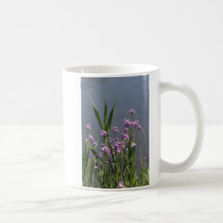 Tasse der lila Phlox-Blume im Sommer