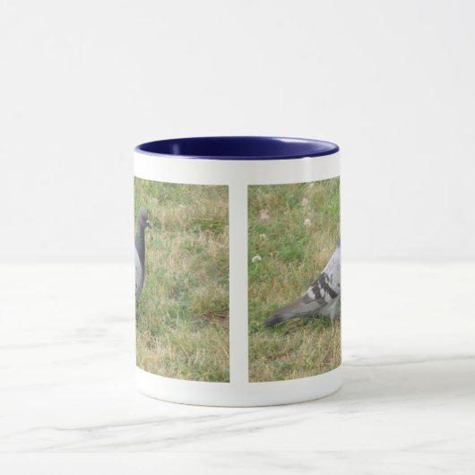 Tasse der Taube (Zentrum)