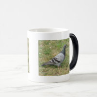 Tasse der Taube Morphing
