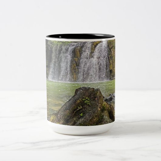 Tasse der Wasserfall-Oase - Grünwälder und Felsens (Mittel)