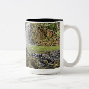 Tasse der Wasserfall-Oase - Grünwälder und Felsens