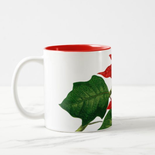 Tasse der Weihnachtszeit-Blume (Links)