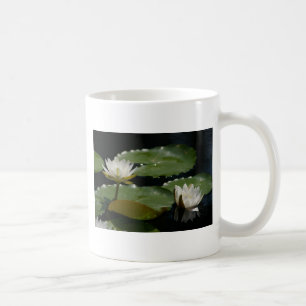 Tasse der weißen Wasserlilie