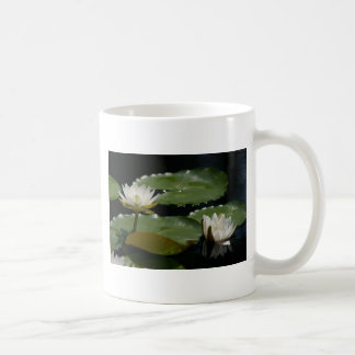Tasse der weißen Wasserlilie