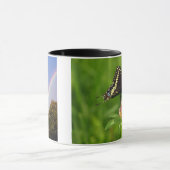 Tasse des Erzeugers (Zentrum)