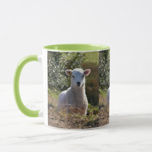 Tasse des Federkolbens
