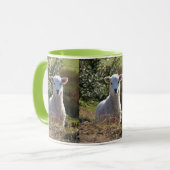 Tasse des Federkolbens (Vorderseite Links)