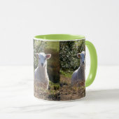 Tasse des Federkolbens (VorderseiteRechts)