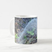 Tasse des Filmy Dome Spider (Vorderseite Links)