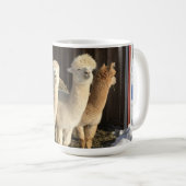 Tasse des Kaffees - Alpacas in der Wintersonne (VorderseiteRechts)