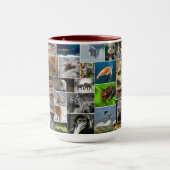 Tasse des Kaffees in meinem Tierreich (Zentrum)