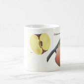 Tasse des Kaffees mit wissenschaftlicher Illustrat (Mittel)