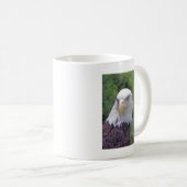 Tasse des kahlen Adlers (VorderseiteRechts)