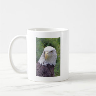 Tasse des kahlen Adlers