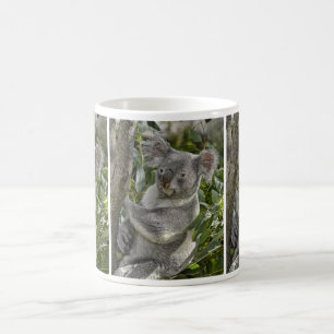Tasse des Koala-Bärn-2