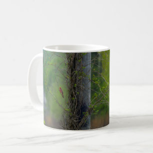 Tasse des Roten Kaffees