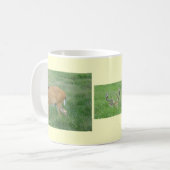 Tasse des Rotschwanzhirns (Vorderseite Links)