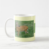 Tasse des Rotschwanzhirns (Links)