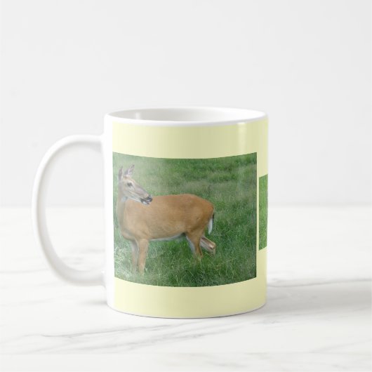 Tasse des Rotschwanzhirns (Links)