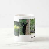 Tasse des schwarzen Bären (Mittel)
