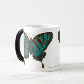 Tasse des systemeigenen Fracks (Vorderseite Links)