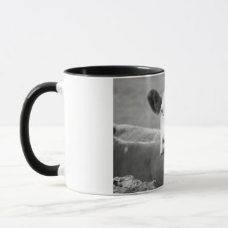 Tasse Die lachende Kuh