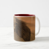 Tasse eines Zauberzeitpunkts (VorderseiteRechts)