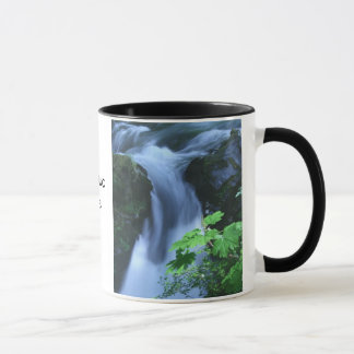 Tasse: Fälle Solenoides Duc Tasse